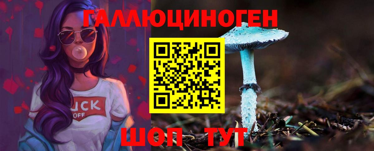Галлюциногенные грибы Psilocybine cubensis  Галлюциногенные грибы GOLDEN TEACHER  Вход с VPN  Шадринск 