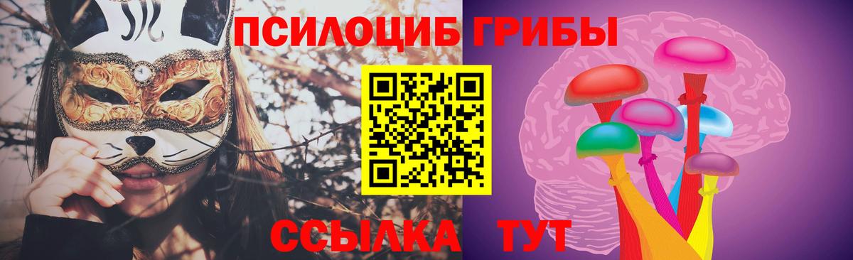 Галлюциногенные грибы Cubensis Шадринск